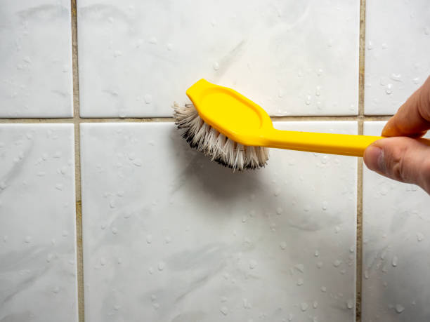 Best Fast Mold Removal  in Thomaston, NY