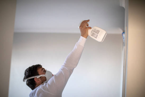Best Black Mold Removal  in Thomaston, NY