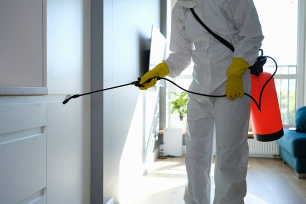 Best Commercial Mold Removal  in Thomaston, NY