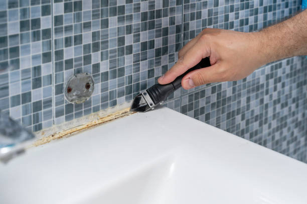 Best Emergency Mold Removal  in Thomaston, NY